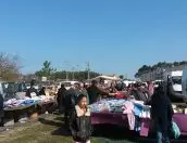 Galeria de Fotos - 