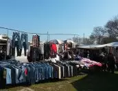 Galeria de Fotos - 