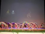 Galeria de Fotos - 