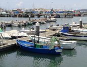 Galeria de Fotos - 