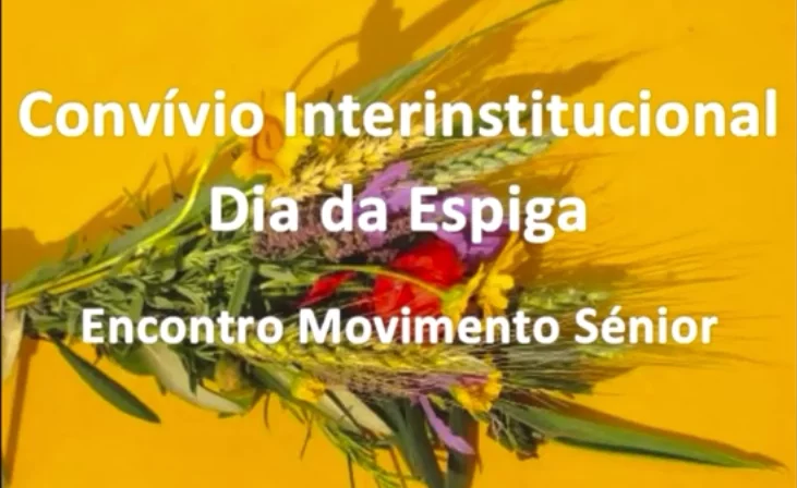 Município assinala Dia da Espiga com Mensagem do Presidente da Câmara Municipal