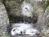 Galeria de Fotos - Descobrir Tábua: Por águas antes navegadas