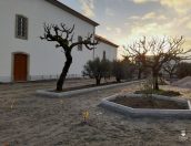 Galeria de Fotos - Empreitada de “Requalificação da Zona Envolvente à Igreja Matriz de Tábua”