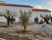 Galeria de Fotos - Empreitada de “Requalificação da Zona Envolvente à Igreja Matriz de Tábua”