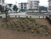 Galeria de Fotos - Município renova espaço verde na Praça Professor Doutor António Castanheira Neves