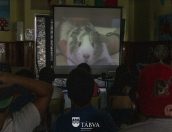 Galeria de Fotos - Serviços Veterinários Municipais promovem ação de sensibilização