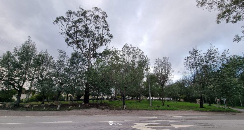 Condomínios de Aldeia valorizam as localidades de Fontão e Senhor da Serra no Município de Tábua