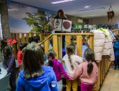 Galeria de Fotos - (Português) Oficinas de Natal 2022