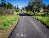 Galeria de Fotos - (Português) Venda da Serra (Mouronho) beneficia de vias com novo pavimento
