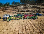 Galeria de Fotos - (Português) Tábua plantou mais de 500 árvores no Dia Internacional das Florestas