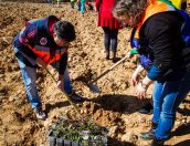 Galeria de Fotos - (Português) Tábua plantou mais de 500 árvores no Dia Internacional das Florestas