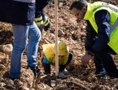 Galeria de Fotos - (Português) Tábua plantou mais de 500 árvores no Dia Internacional das Florestas