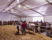 Galeria de Fotos - Enorme sucesso marcou a Tábua de Queijos e Sabores da Beira