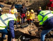 Galeria de Fotos - (Português) Tábua plantou mais de 500 árvores no Dia Internacional das Florestas