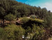 Galeria de Fotos - Património Histórico e Arqueológico de Tábua um produto turístico diferenciador