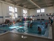 Galeria de Fotos - Município dinamizou tradicionais Oficinas de Páscoa