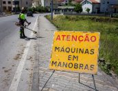 Galeria de Fotos - Município procede a limpeza e manutenção da Via Pública