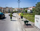 Galeria de Fotos - Município procede a limpeza e manutenção da Via Pública