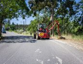 Galeria de Fotos - Município procede a limpeza e manutenção da Via Pública