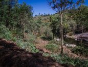 Galeria de Fotos - (Português) Controlo e Erradicação de Espécies Exóticas Invasoras em Áreas da Rede Natura 2000