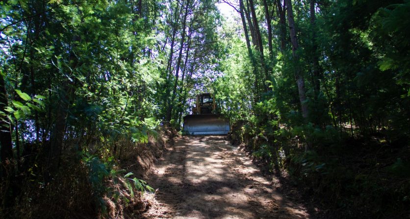 (Português) Beneficiação da rede viária florestal municipal