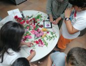 Galeria de Fotos - Alegria e animação nas Férias Desportivas e Culturais 2023