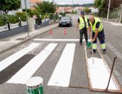 Galeria de Fotos - Município reforça pintura da sinalização horizontal