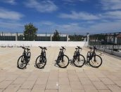 Galeria de Fotos - Autarquia promove sustentabilidade na mobilidade interna