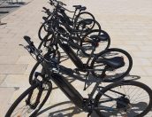 Galeria de Fotos - Autarquia promove sustentabilidade na mobilidade interna