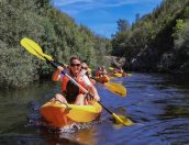 Galeria de Fotos - TÁBUA APRESENTA INDICADORES CRESCENTES NA PROCURA TURÍSTICA