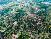 Galeria de Fotos - Projetos de Proteção e Resiliência Ambiental em Tábua: Combate aos Incêndios Rurais e às Espécies Invasoras