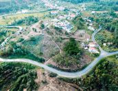 Galeria de Fotos - Projetos de Proteção e Resiliência Ambiental em Tábua: Combate aos Incêndios Rurais e às Espécies Invasoras