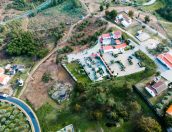 Galeria de Fotos - Projetos de Proteção e Resiliência Ambiental em Tábua: Combate aos Incêndios Rurais e às Espécies Invasoras