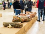 Galeria de Fotos - Mercado Municipal de Tábua palco de mais uma edição do Concurso de Couves e Abóboras