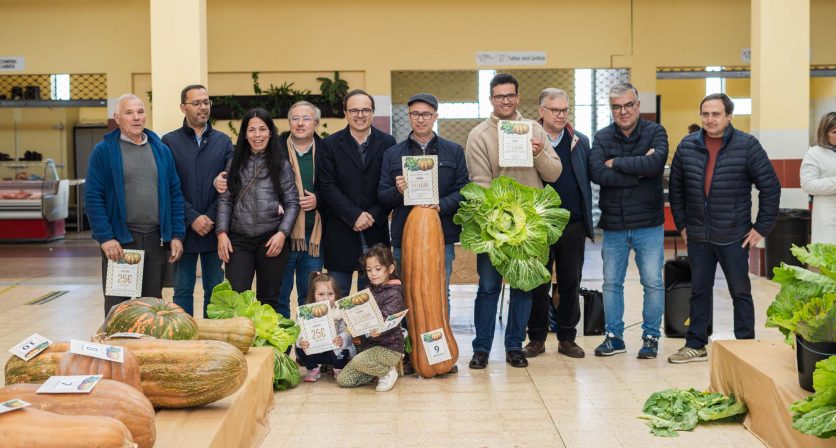 Mercado Municipal de Tábua palco de mais uma edição do Concurso de Couves e Abóboras