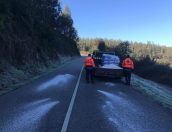 Galeria de Fotos - Município combate Gelo nas estradas durante Vaga de Frio