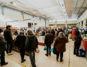 Galeria de Fotos - Mercado de Natal em Tábua Encanta Com Artesanato e Música ao Vivo