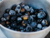 Galeria de Fotos - Arte e Música encantaram a Praça durante Fim de Semana Inesquecível