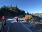 Galeria de Fotos - Município combate Gelo nas estradas durante Vaga de Frio