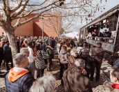 Galeria de Fotos - (Português) TÁBUA DE QUEIJOS E SABORES DA BEIRA SALDOU-SE POR UM ENORME SUCESSO