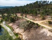 Galeria de Fotos - Tábua investe na preservação da floresta