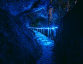 Galeria de Fotos - Passadiços coloridos de Vale de Gaios são nesta época natalícia passadiços iluminados