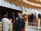 Galeria de Fotos - Academia Sénior de Tábua promove visita de estudo à Figueira da Foz