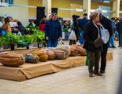 Galeria de Fotos - Mercado Municipal de Tábua acolhe Concurso de Couves e Abóboras 2024