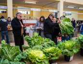 Galeria de Fotos - Mercado Municipal de Tábua acolhe Concurso de Couves e Abóboras 2024