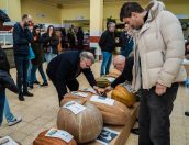 Galeria de Fotos - Mercado Municipal de Tábua acolhe Concurso de Couves e Abóboras 2024