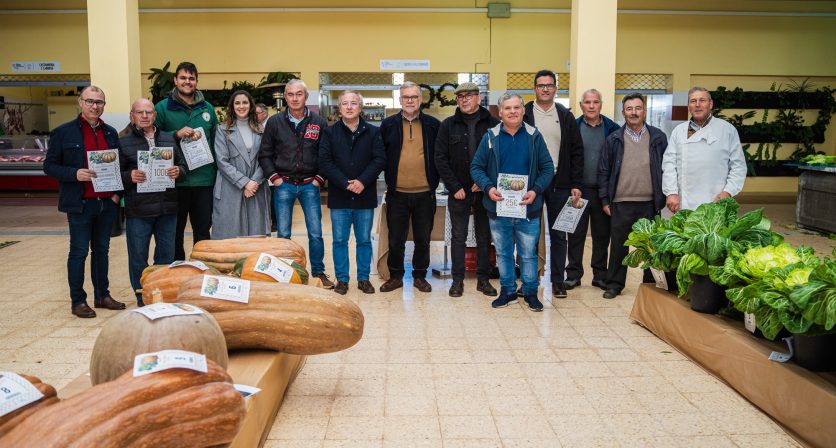 Mercado Municipal de Tábua acolhe Concurso de Couves e Abóboras 2024