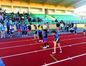 Galeria de Fotos - (Português) Meeting Jovem Mário Pinto Claro reúne mais de duas centenas de participações