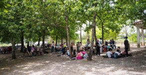 Percursos na Natureza voltam a animar crianças do Pré-Escolar e 1.º Ciclo