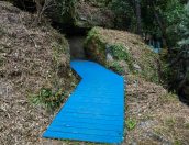 Galeria de Fotos - (Português) Município de Tábua avança com projeto de percursos BTT e Ciclismo de estrada